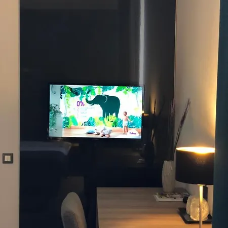בית הארחה Pensiunea Lido 3*